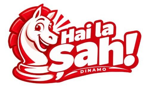 cursuri sah copii sector 1 2 academia dinamo